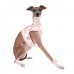 Pettorina Pinkaholic LAPINE PINKA HARNESS